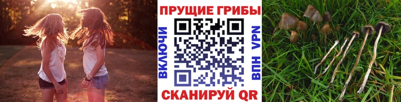 даркнет сайт  Ардон  Галлюциногенные грибы MAGIC MUSHROOMS 